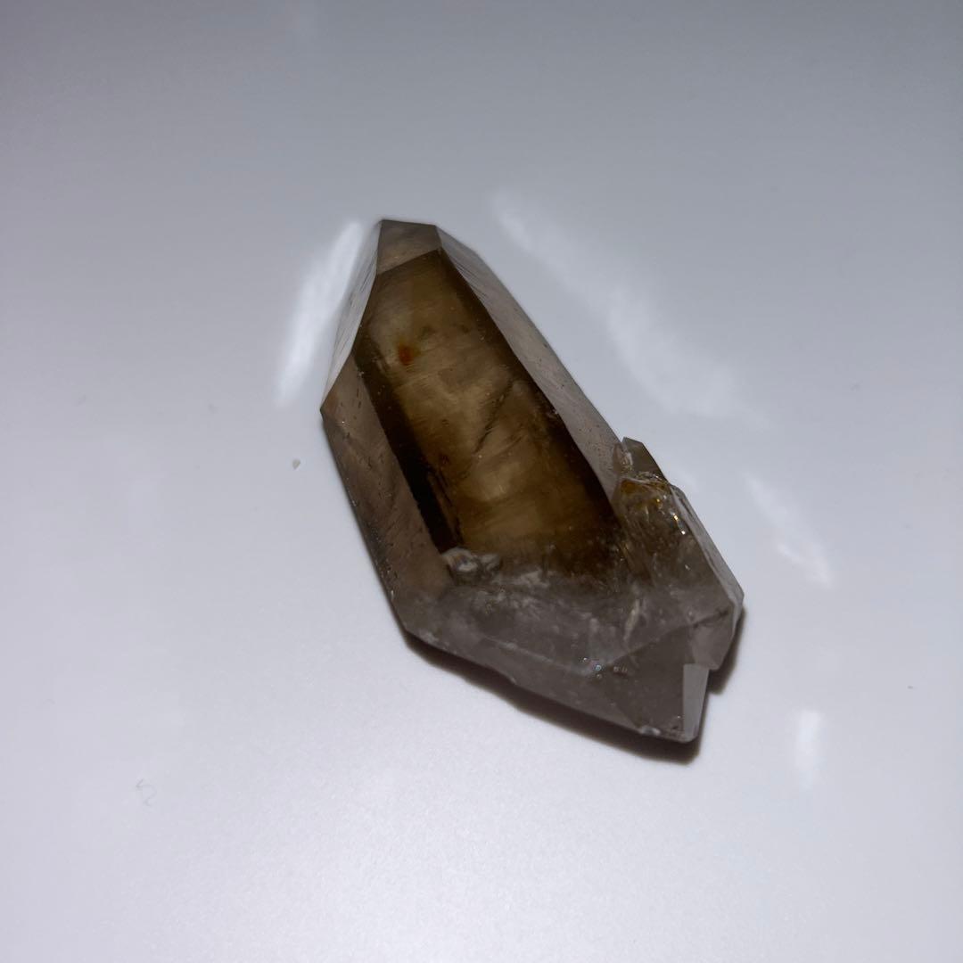 ロシアンレムリアン　スモーキー