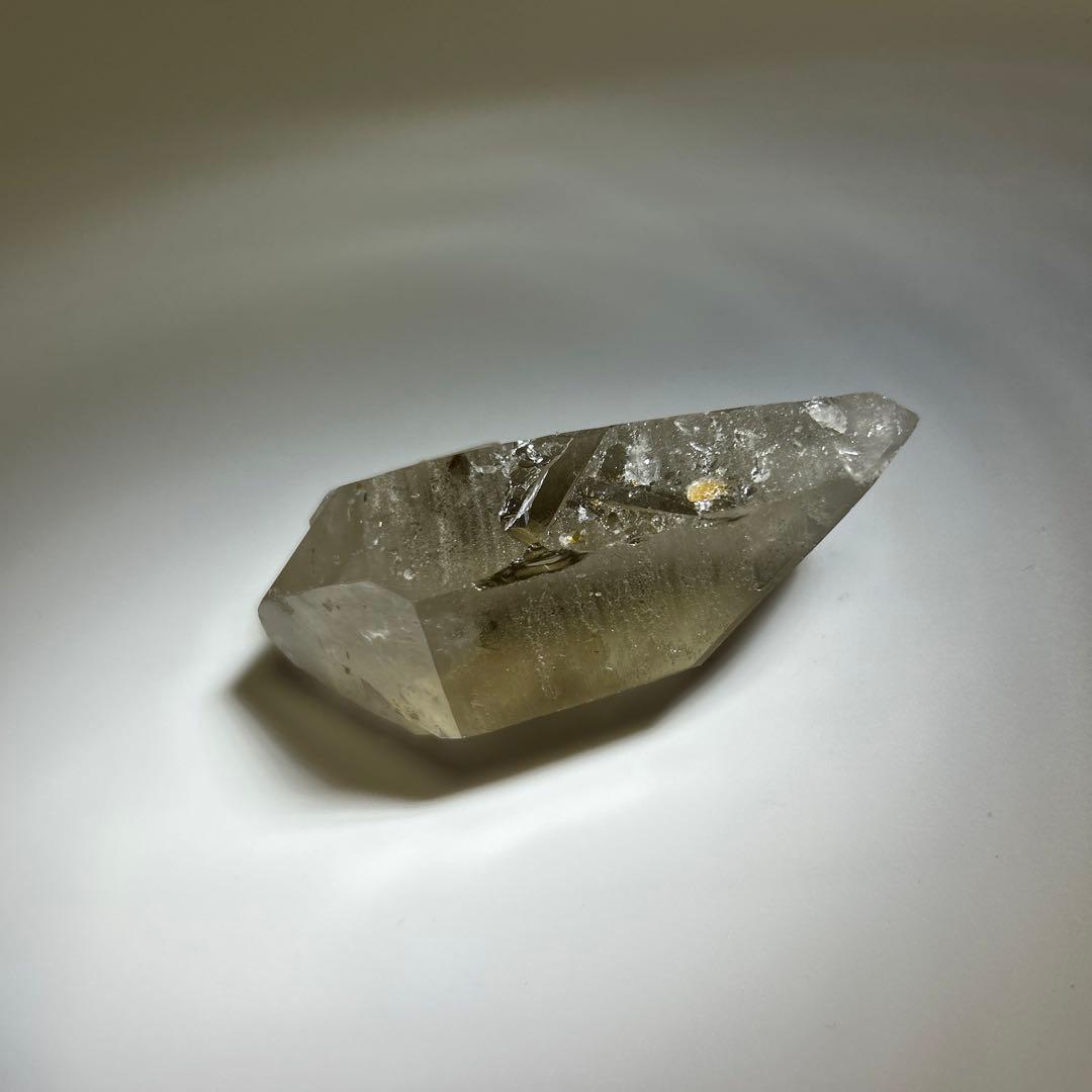 ロシアンレムリアン　スモーキー