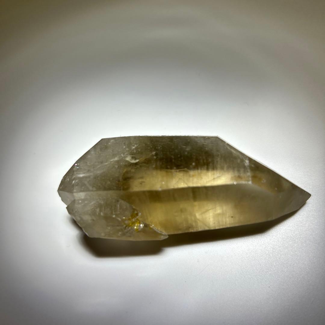 ロシアンレムリアン　スモーキー