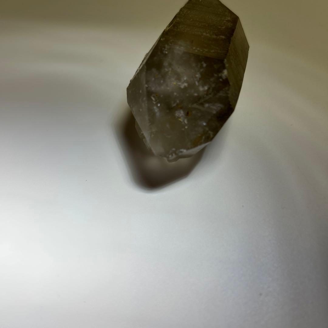 ロシアンレムリアン　スモーキー