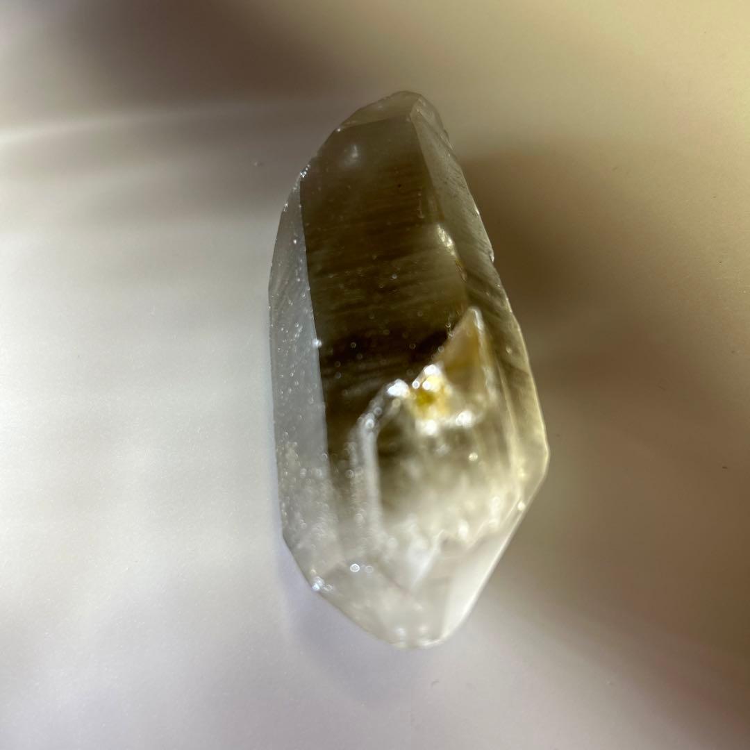 ロシアンレムリアン　スモーキー