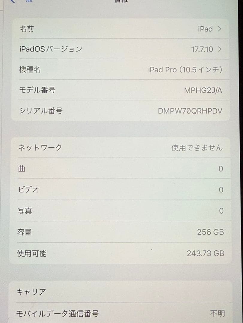 美品・即使用可iPad Pro 256GB WiFi+Cell ペン付 ケース付