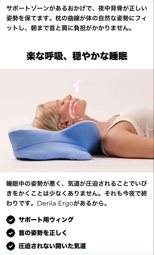 Facebookで見つけた枕　Derila 枕　アンナ Derila Ergo