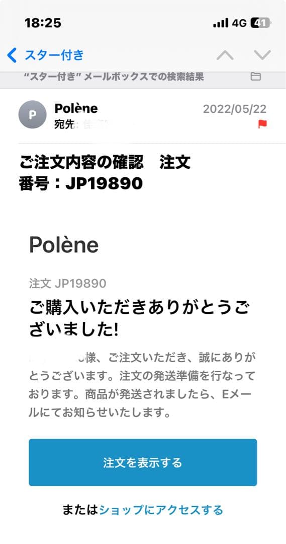 【正規品】POLENE Numéro Un Nano トープ　箱、保存袋付き