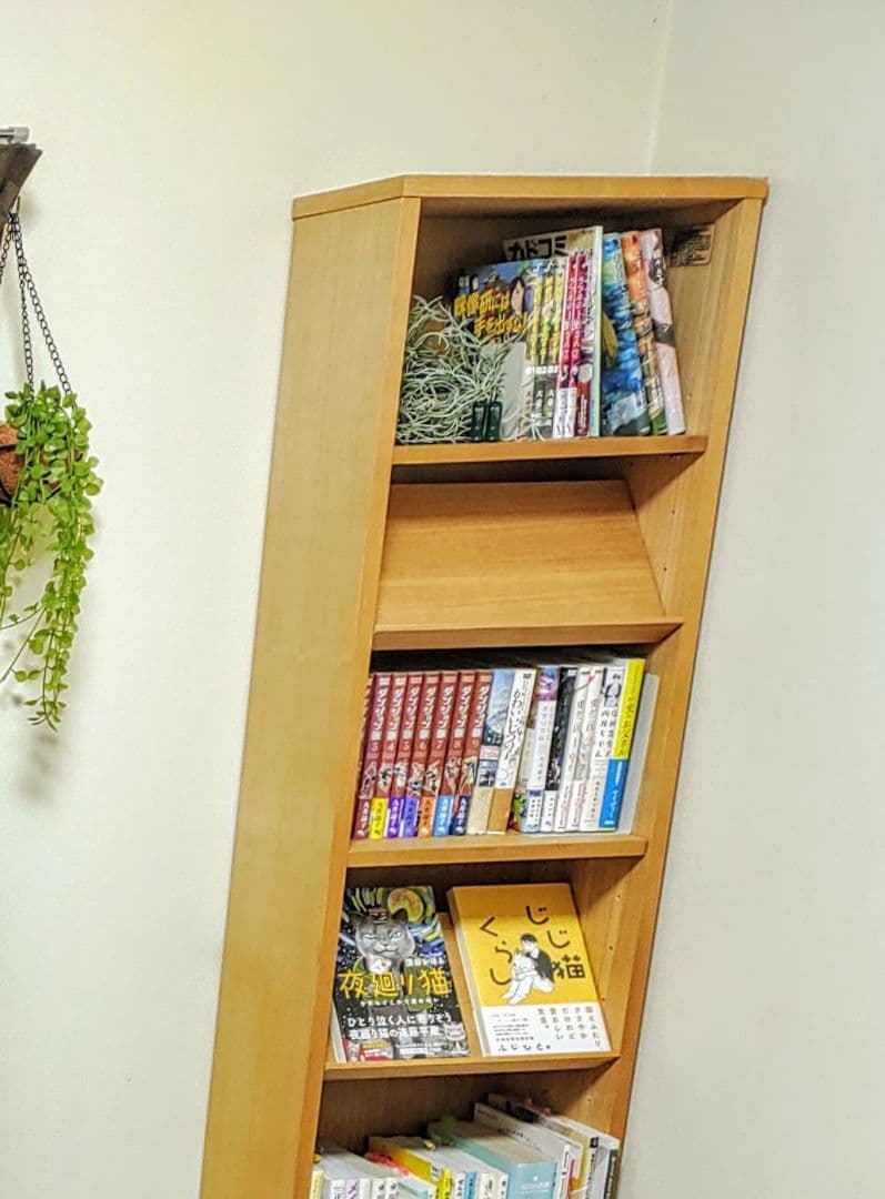 無印良品 「組み合わせて使える木製収納 」 奥行21cm ミドルタイプ・スリム