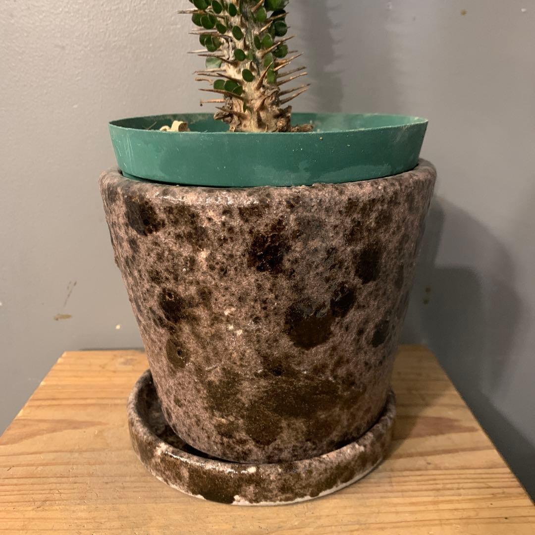 アローディア モンタグナッキー 陶器鉢 お皿付き