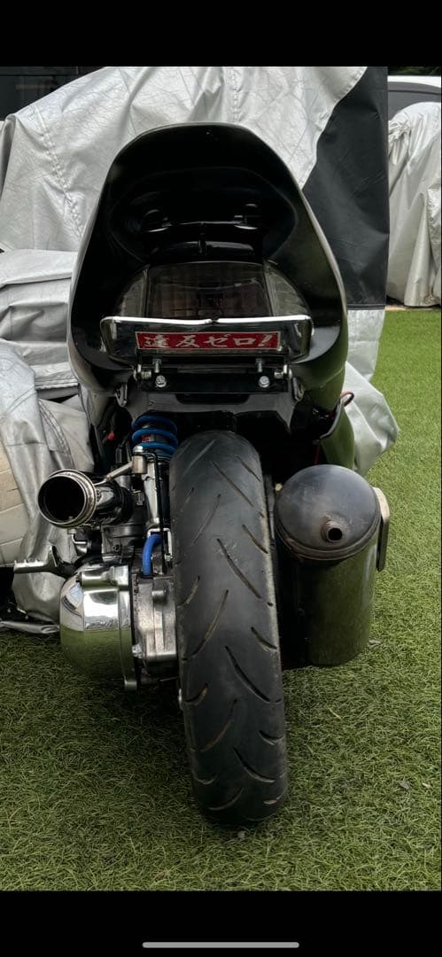 新春セール ライブディオ 羽for M