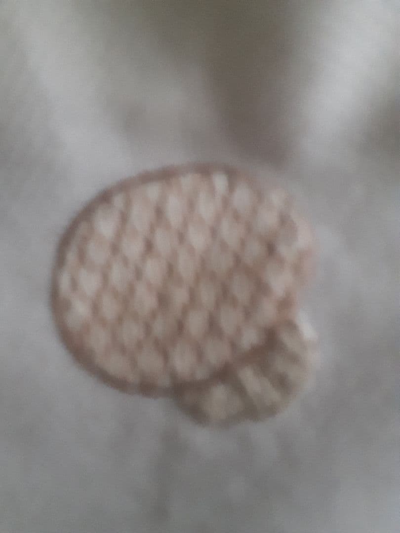 戸塚刺繍、新品未使用 西洋野菜刺繍 テーブルクロス( 大) 円形、長方形他