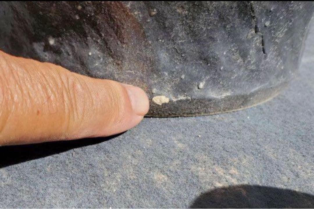 青緑色の水鉢 信楽焼　メダカ鉢　睡蓮鉢　花器　傘立て　高さ58㎝　No.32