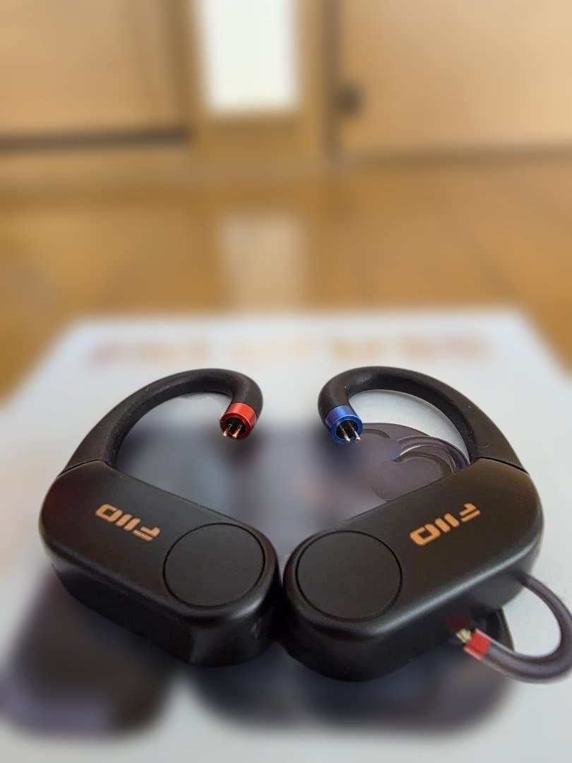 イヤホン FiiO UTWS5 2025 2pin