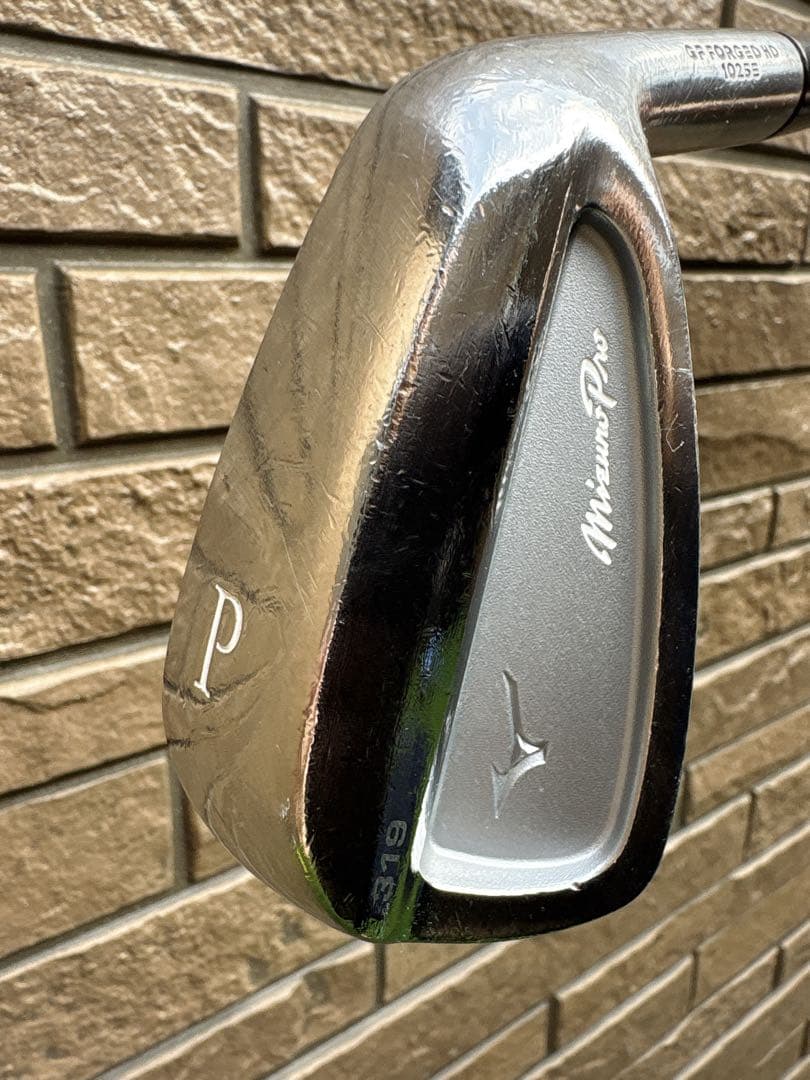 ミズノプロ319 アイアンセット　DG S200 5-P