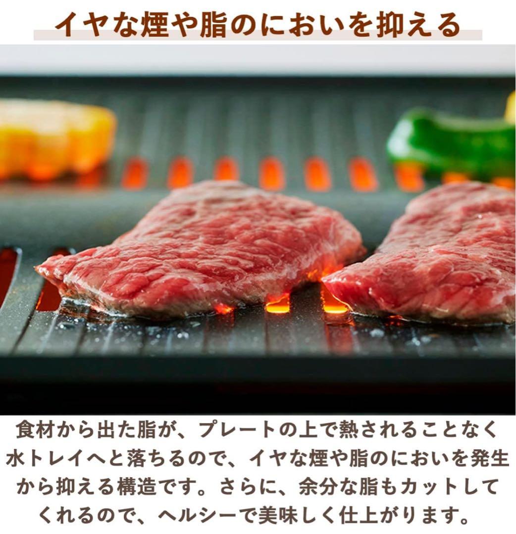 Aladdin (アラジン) グラファイト ミニグリラー ホットプレート