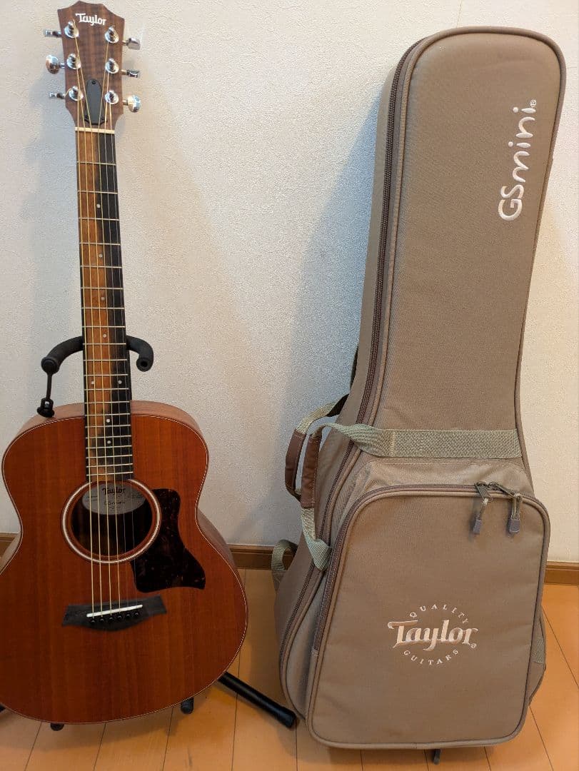 Taylor GS Mini　Mahogany【2022製】