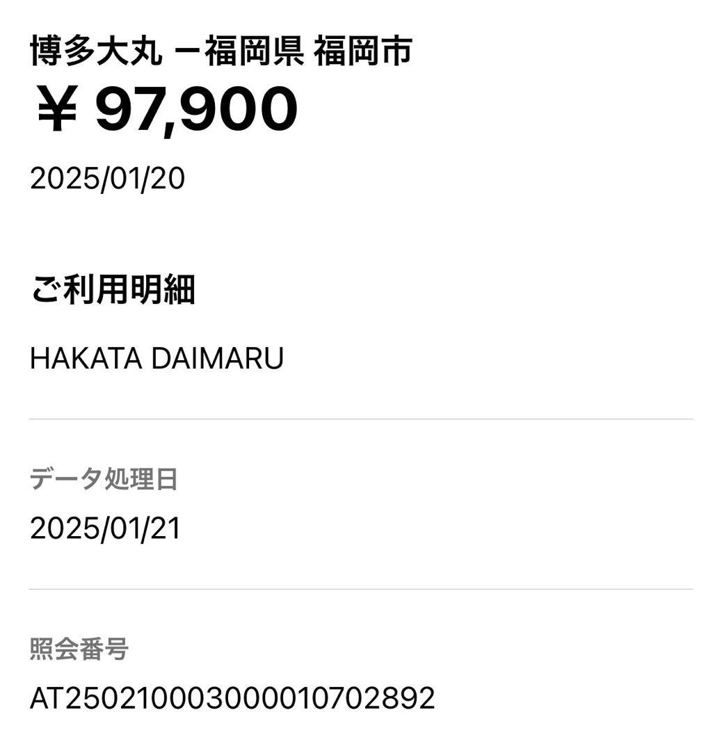 BERLUTI Native Union スマホケース　iPhone16pro