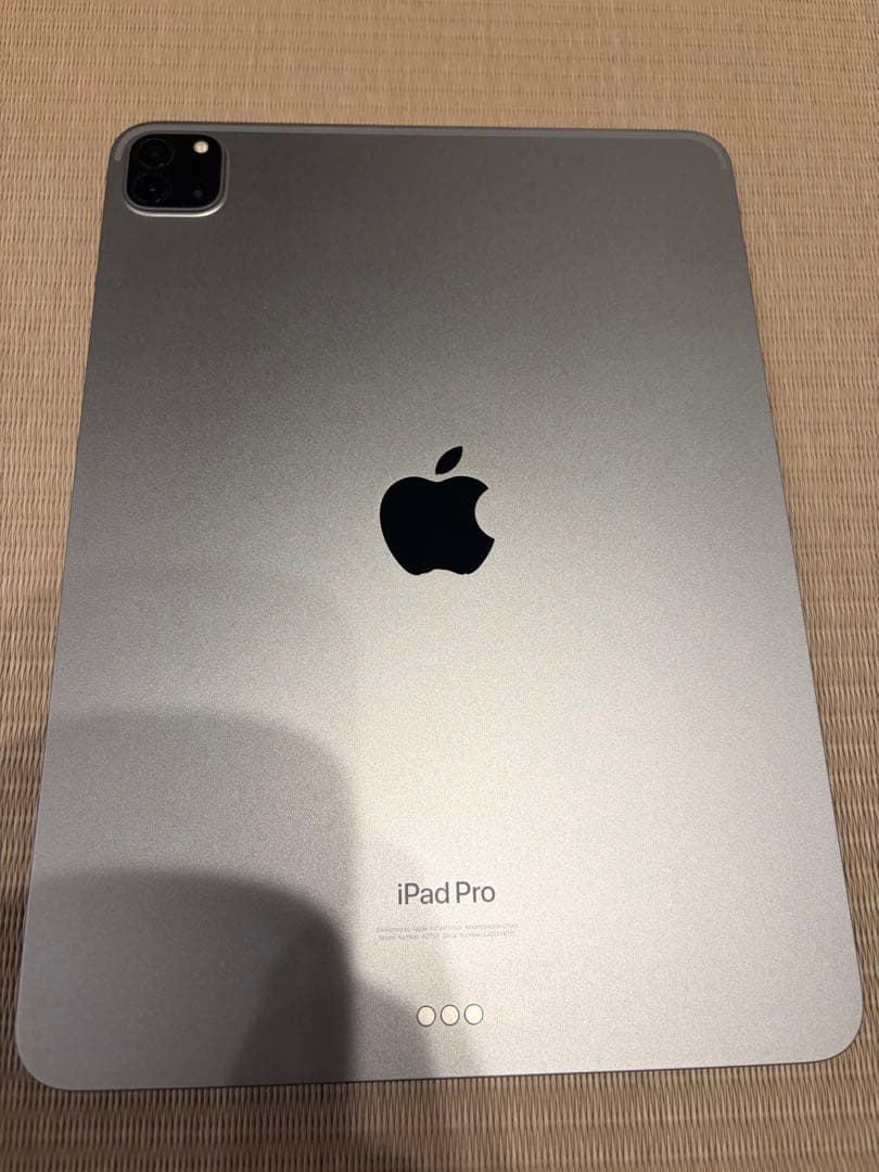 iPadPro11インチ第4世代256GB