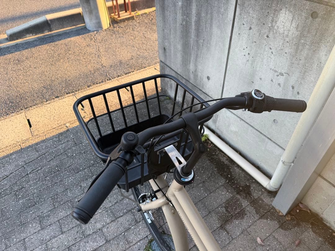 ⭐︎引取限定⭐︎ブリヂストン　トートボックス　ラージ　サンドベージュ