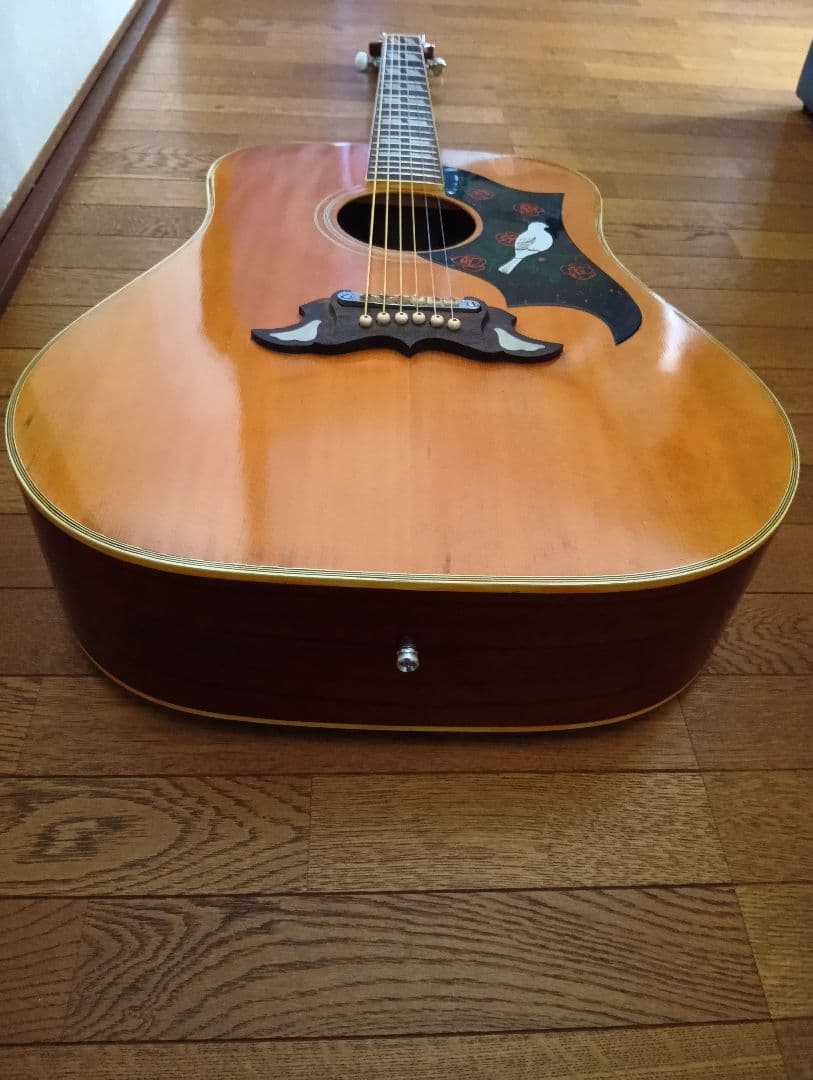 Doveタイプ アコースティックギター 70年代ジャパビン クリーニング済み