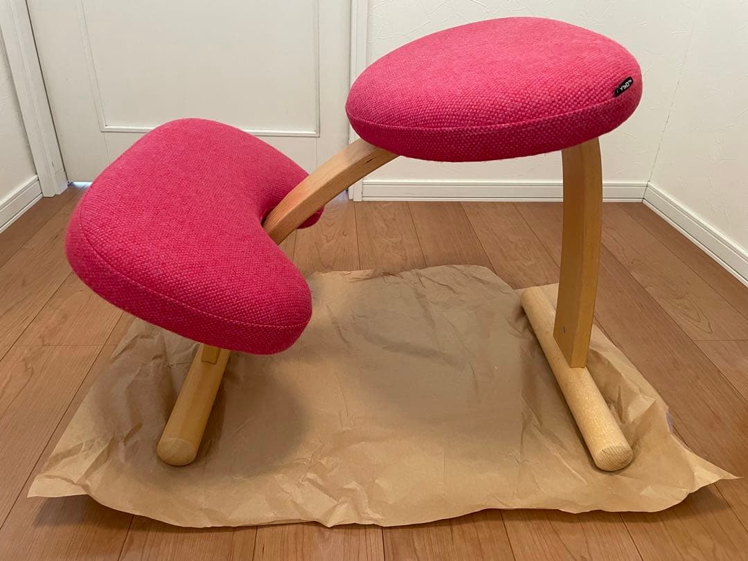 リボ社 バランスチェア balans EASY バランスイージー 2脚セット