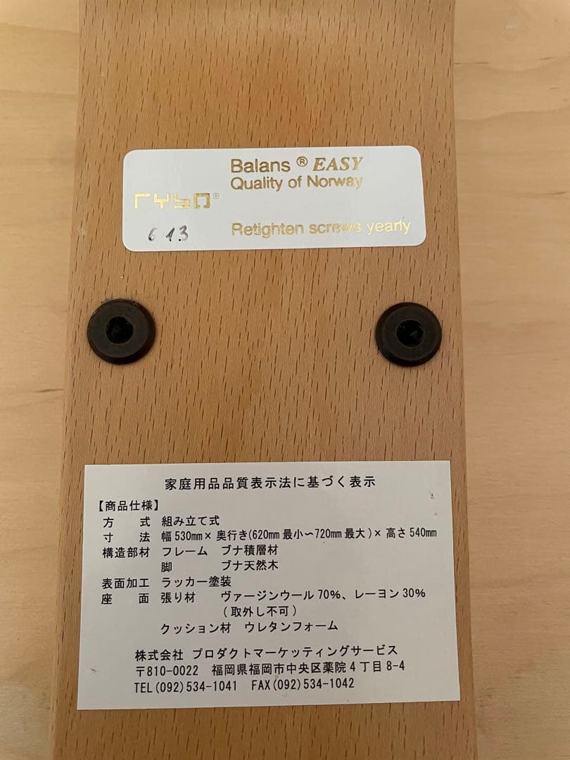 リボ社 バランスチェア balans EASY バランスイージー 2脚セット