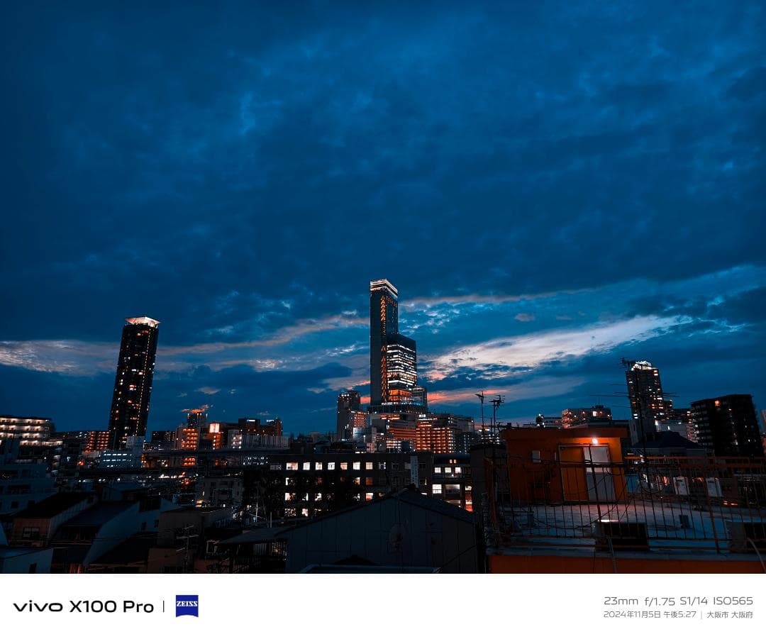 vivo X100 Pro 16GB/512GB グローバル版