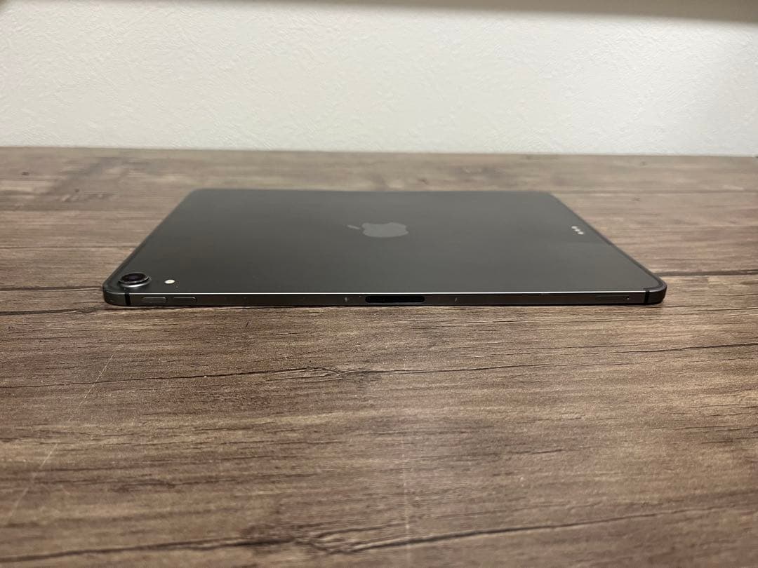 iPad Pro /11インチ/第1世代（2018）/1TB /セルラー/ペン付