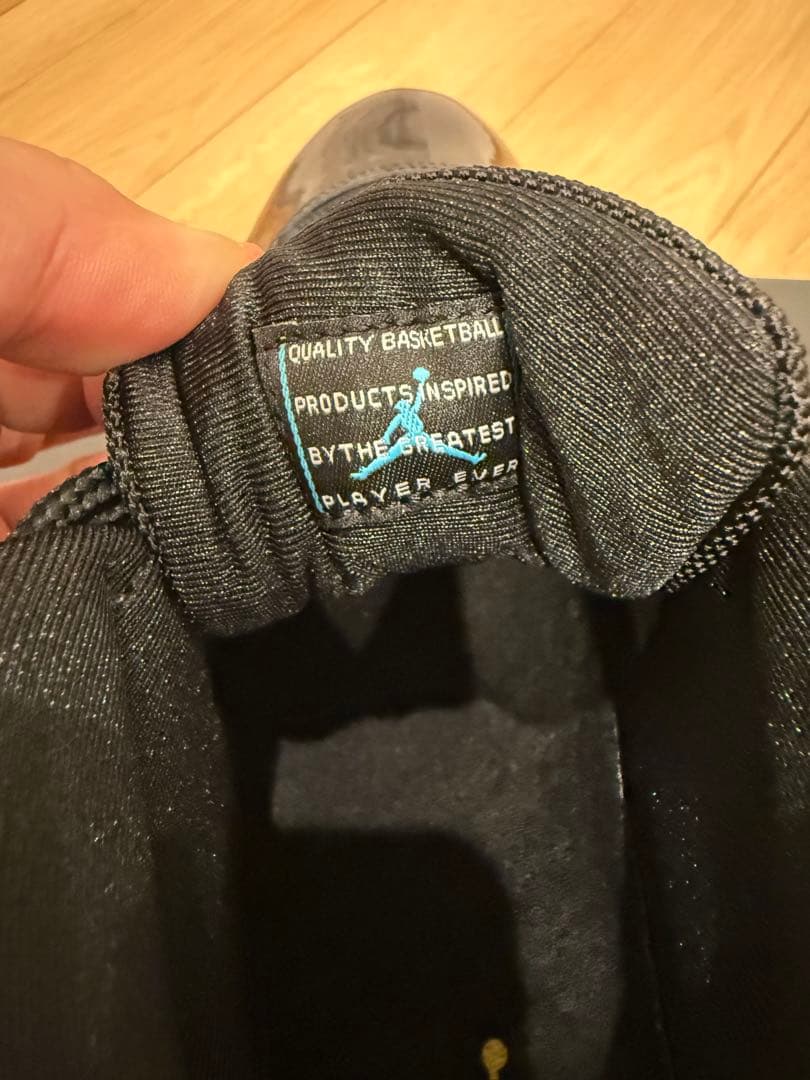 AIR JORDAN11 gamma Blue ガンマブルー30㎝エアジョーダン