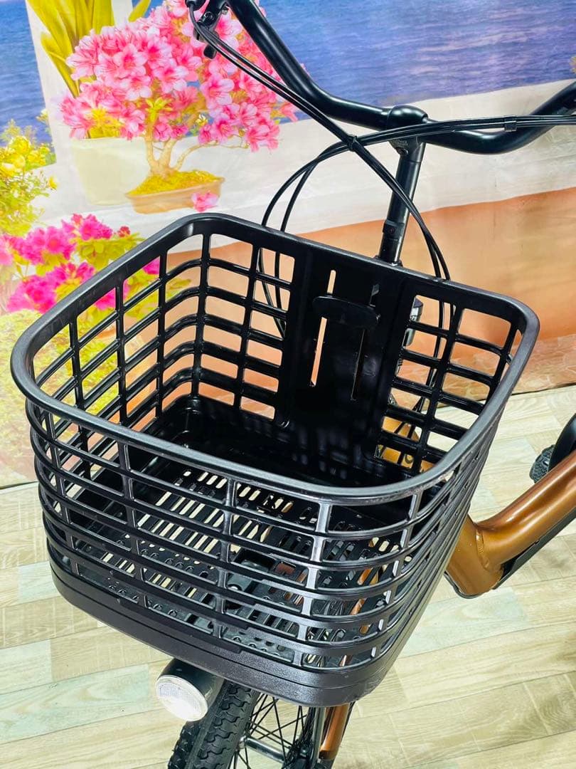 【週末限定価格！】激レアギュットアニーズ 2019モデル⭐️16AH！Y3243