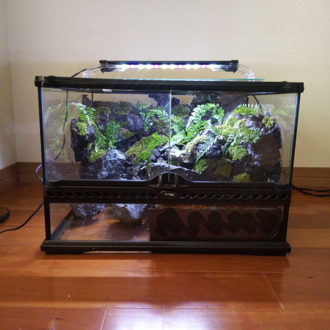 【受注生産】滝のあるアクアテラリウム　グラステラリウム 4530イモリウム