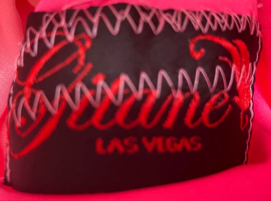 社交ダンス　競技・デモ用ピンクMサイズスタンダードドレス　gitane(USA)