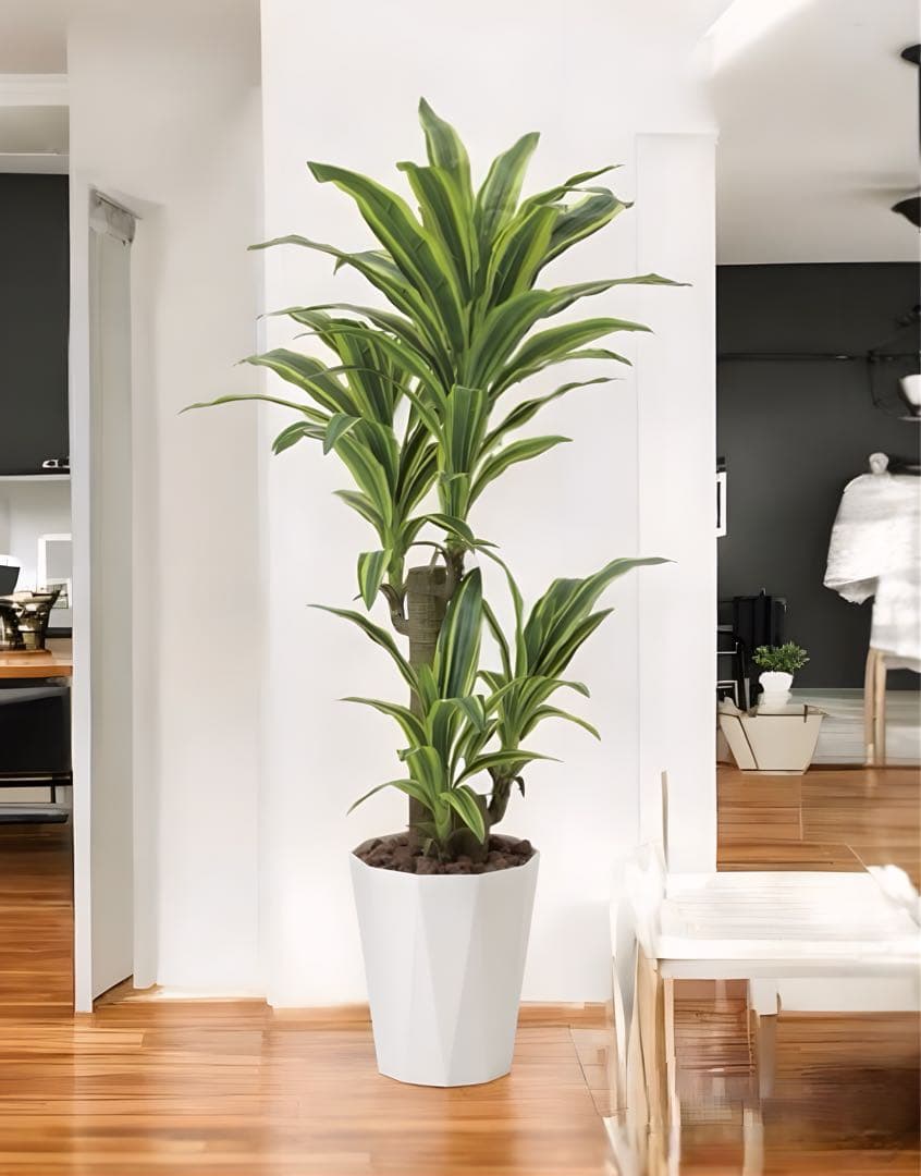 光触媒　人工観葉植物　フェイクグリーン　フレッシュドラセナ 高さ 1.25m