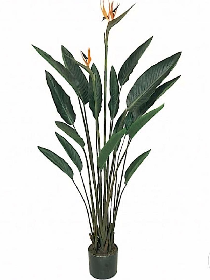 光触媒　人工観葉植物　ウォールグリーン　フェイクグリーン　ストレチア極楽鳥花付き