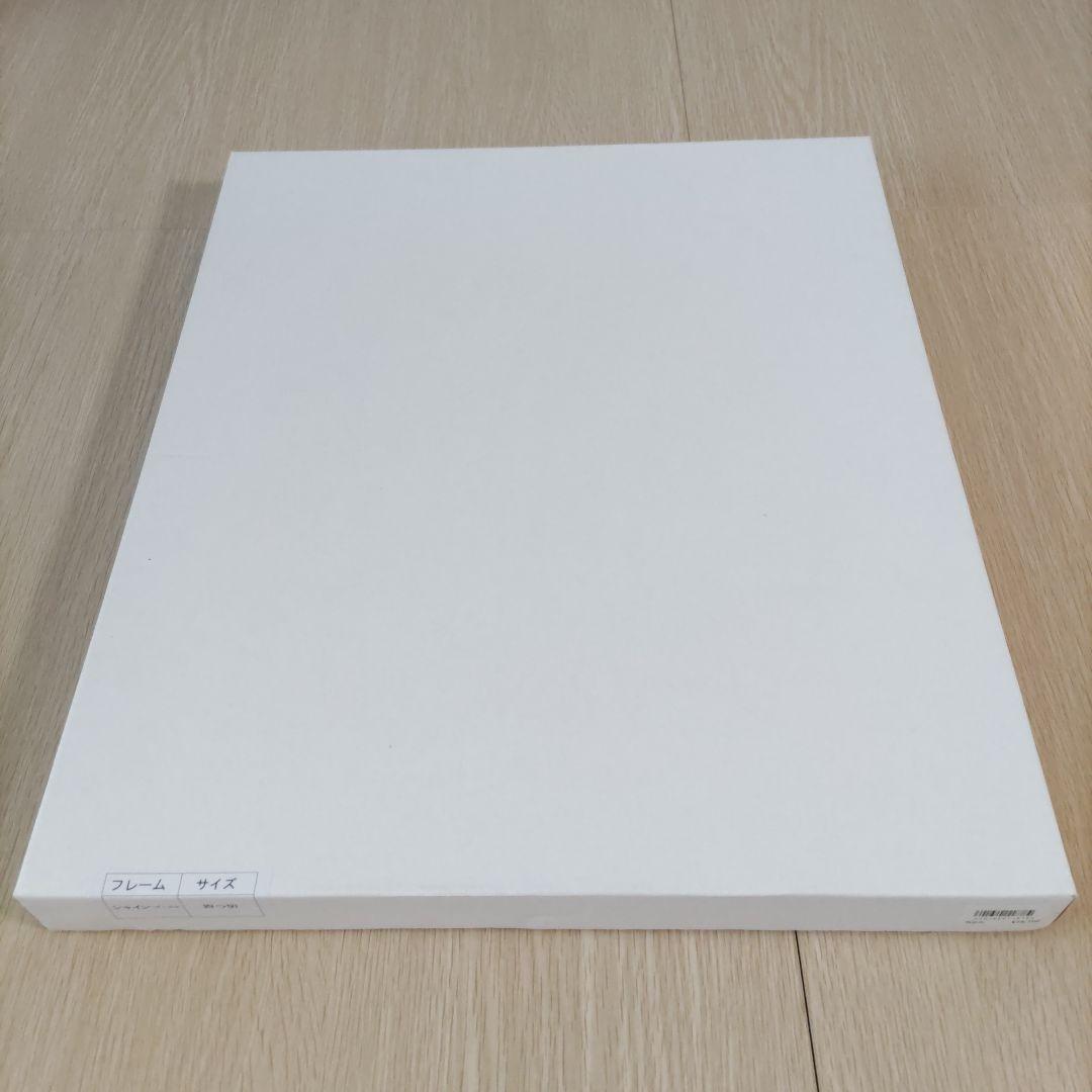 東京ディズニーリゾート 35周年額装品 シルエットスタジオ