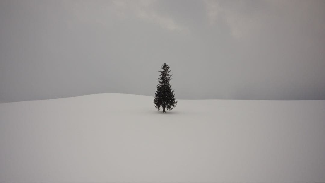 OLYMPUS OM-D E-M10 Mark3＋レンズキット＋社外製バッテリー