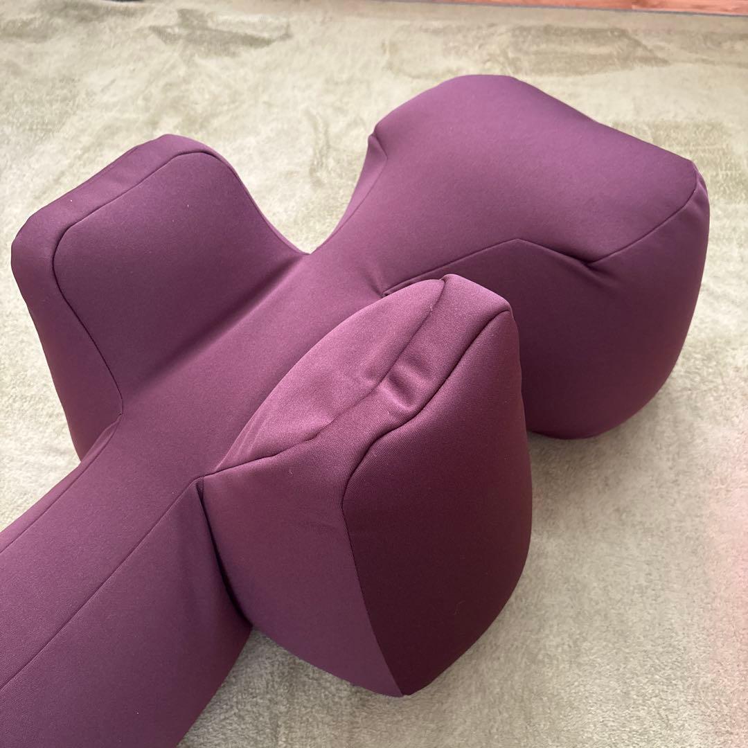 【新品未使用品】リラクッションカバー付き L サイズ