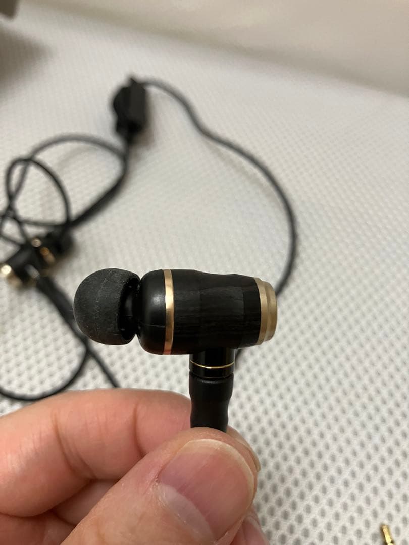 ほぼ未使用 JVC HA-FX1100 ウッドハウジング イヤフォン