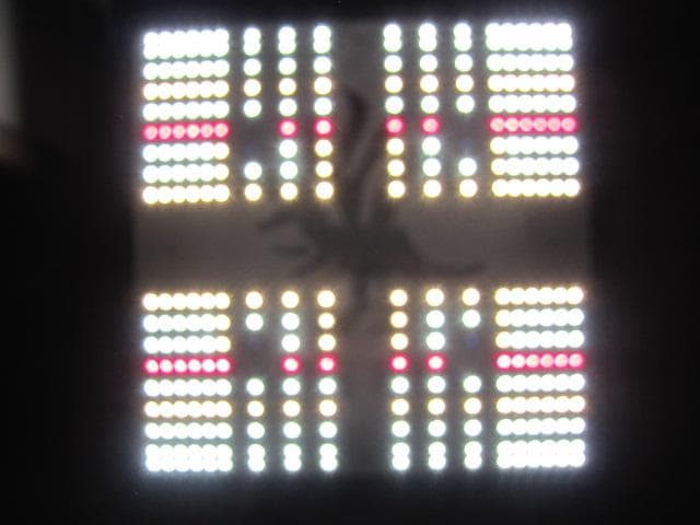 Kaiju Plant 怪獣フレア301 ホワイト120W