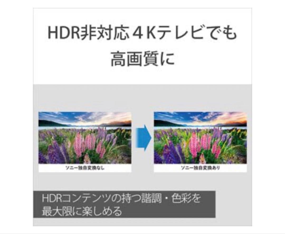 SONY Ultra HDブルーレイ BP-X800M2