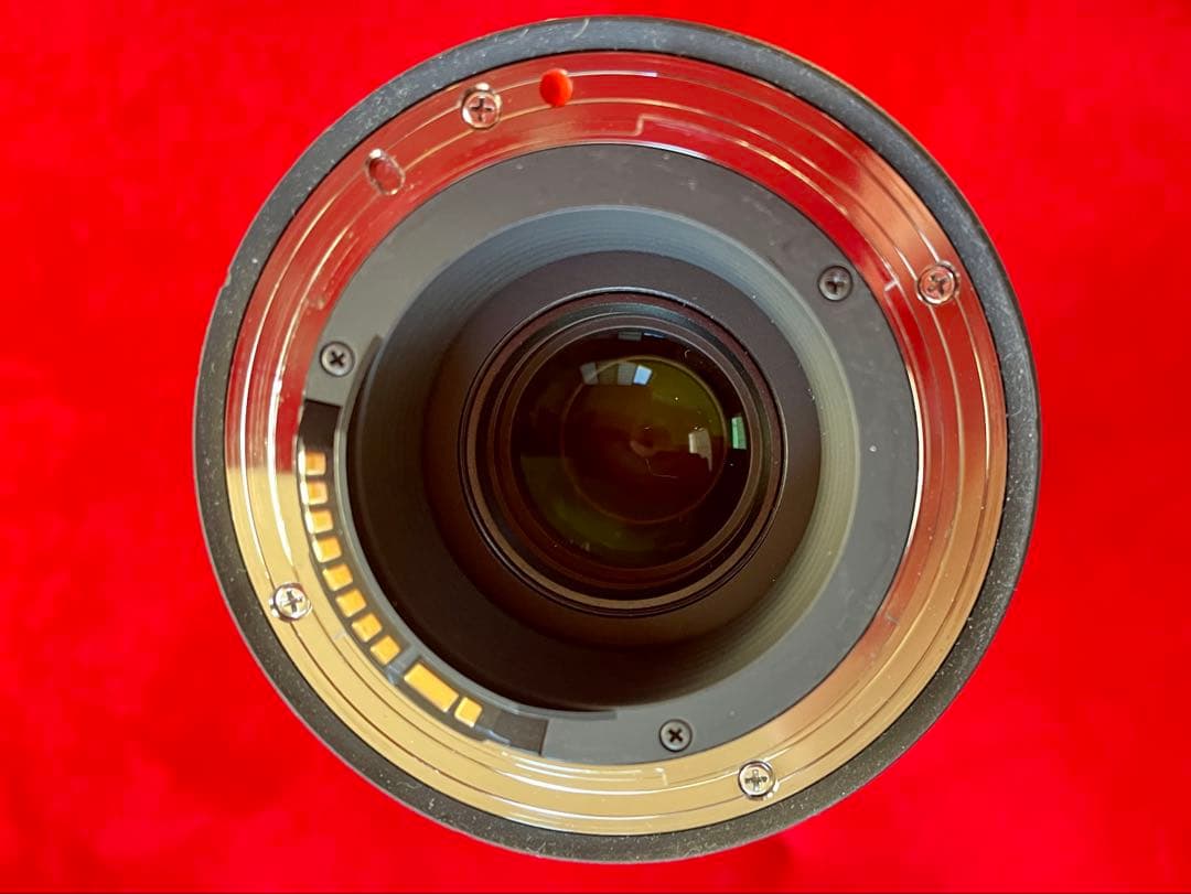 ラスト！SIGMA 150-600mm F5-6.3 DG OS HSM