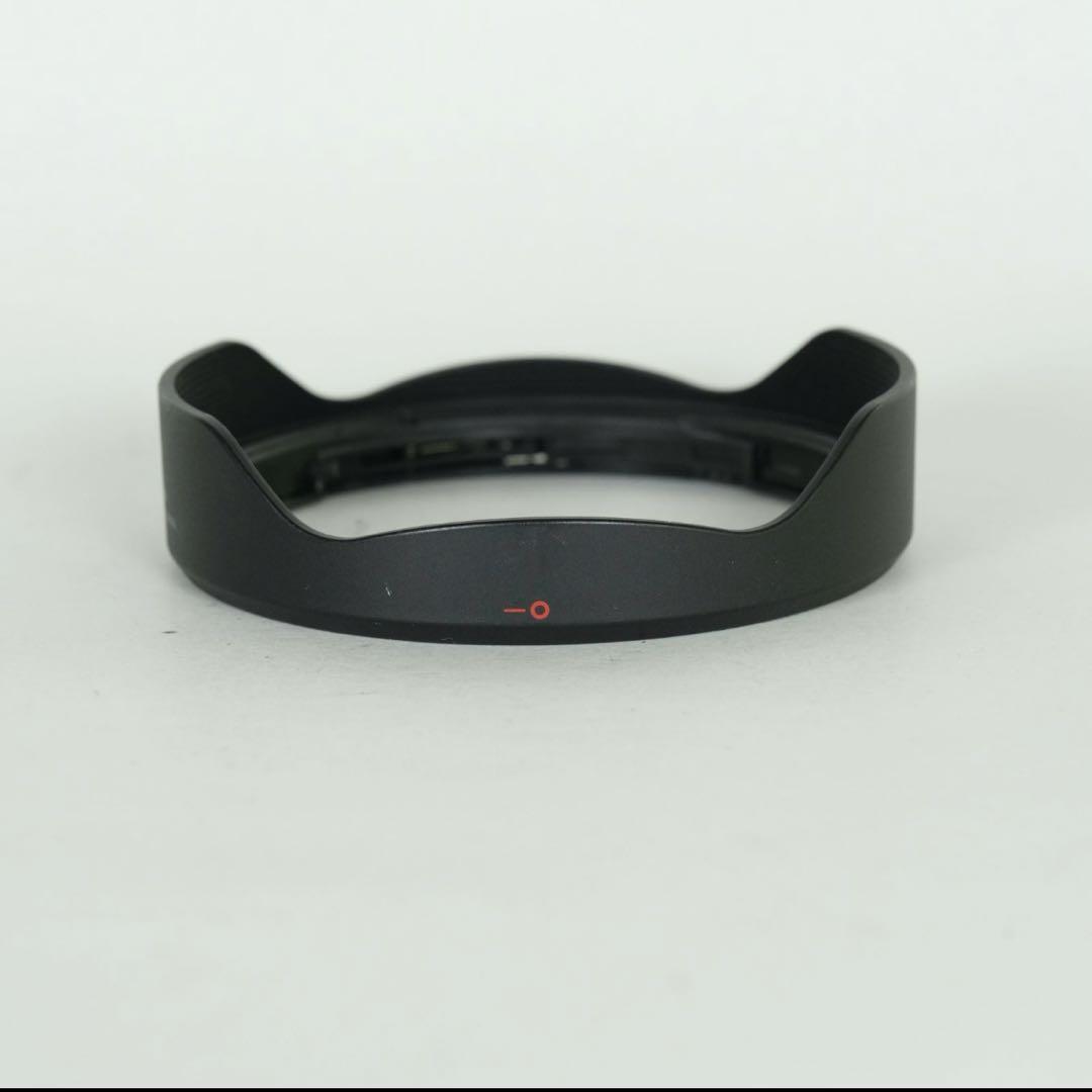 その他 Canon RF 14-35mm F4 L IS USM