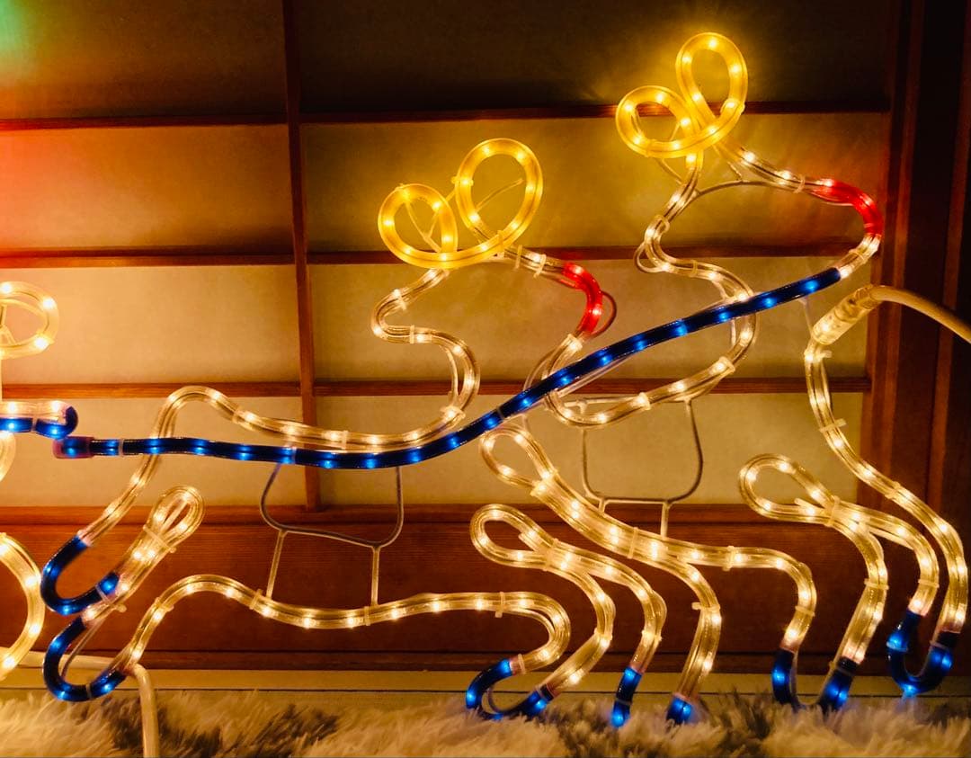 ✨ ツイントナカイ＋ソリサンタ クリスマス イルミネーション ✨