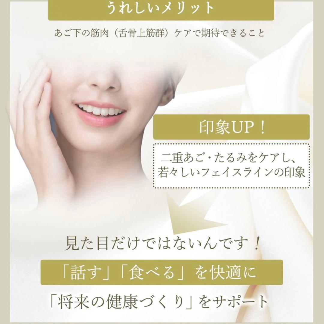 StylyFace♡EMS美顔器　スポーツクラブ ルネサンス