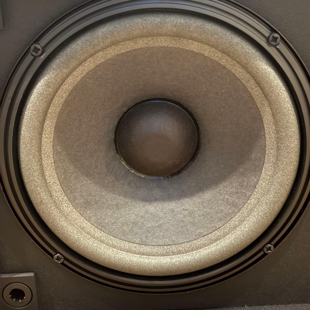 BOSE ボーズ スピーカー 301-AV