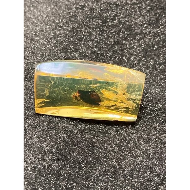 ブルーアンバー 虫入り 天然 琥珀 天然石 パワーストーン