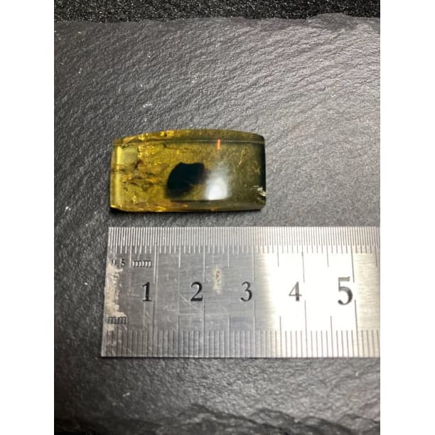 ブルーアンバー 虫入り 天然 琥珀 天然石 パワーストーン