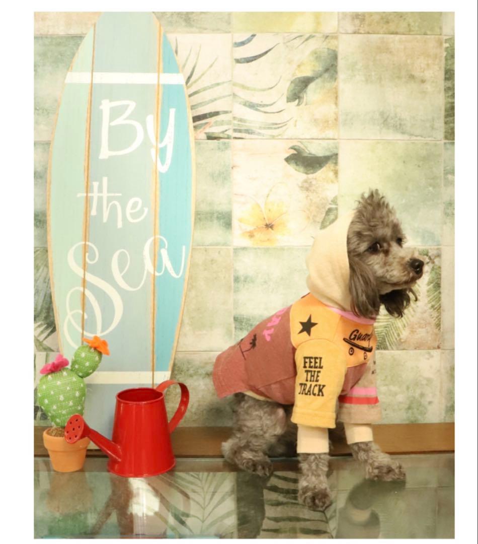 アトリエgg★ PARK LEGEND Tee16★atelierggスケボー