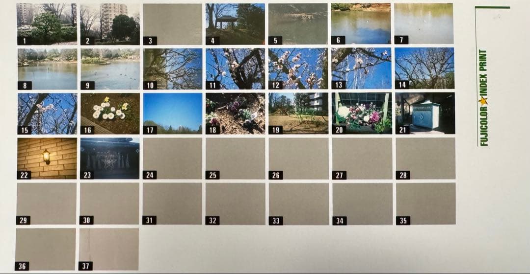 CONTAX TVS DATA BACK コンタックス フィルムカメラ