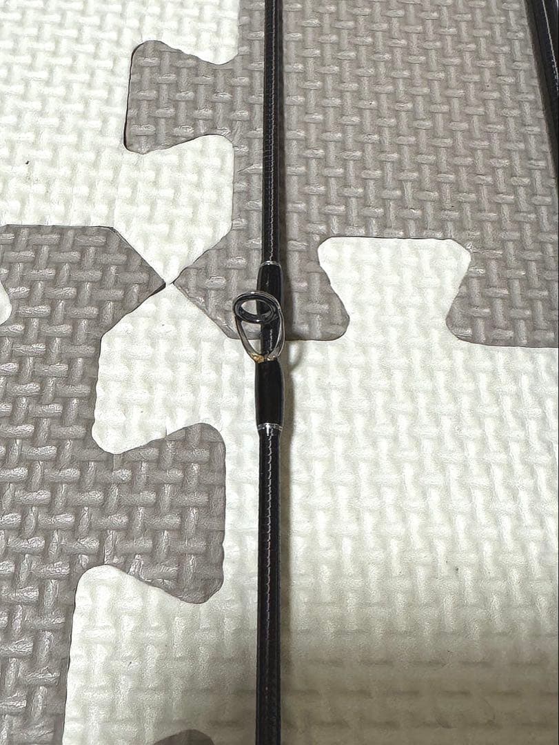 フィッシュマン Beamsinte64UL