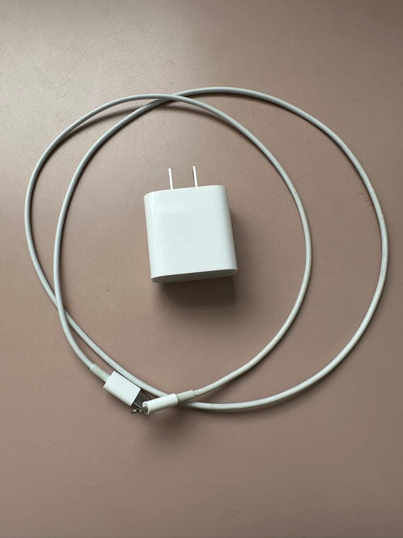 C. ✿24時間発送 Apple iPad (第9世代) 64GB