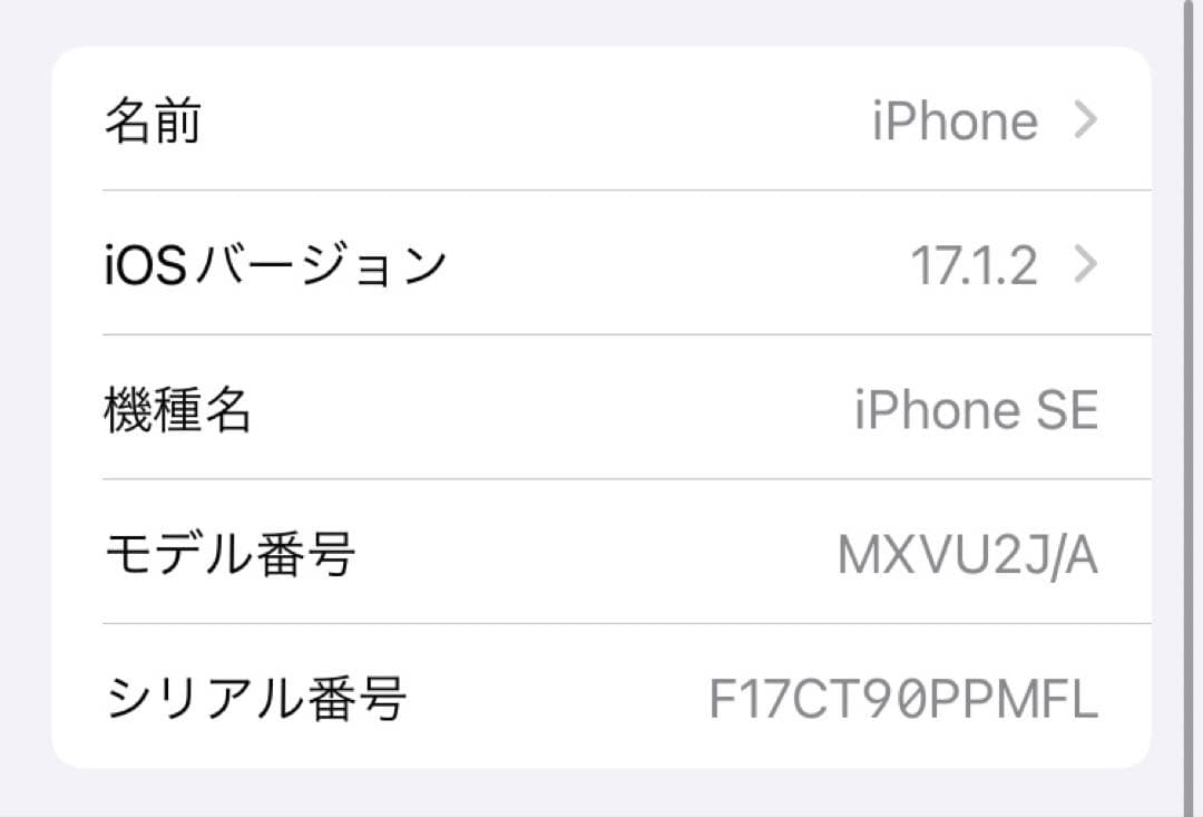 12/30まで限定値下げ Apple iPhone SE 第2世代
