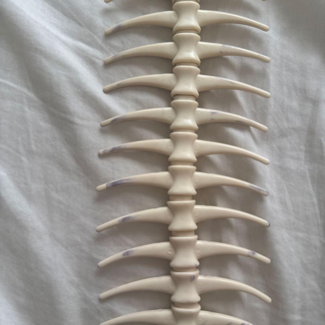 魚コード 明和電機